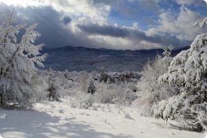 brod_moravice_foto_galerija_davor_delac--14-_sb